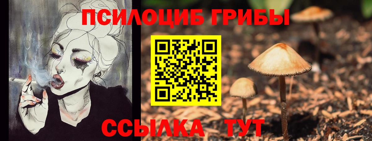 Галлюциногенные грибы Cubensis  Вход с VPN  Химки 